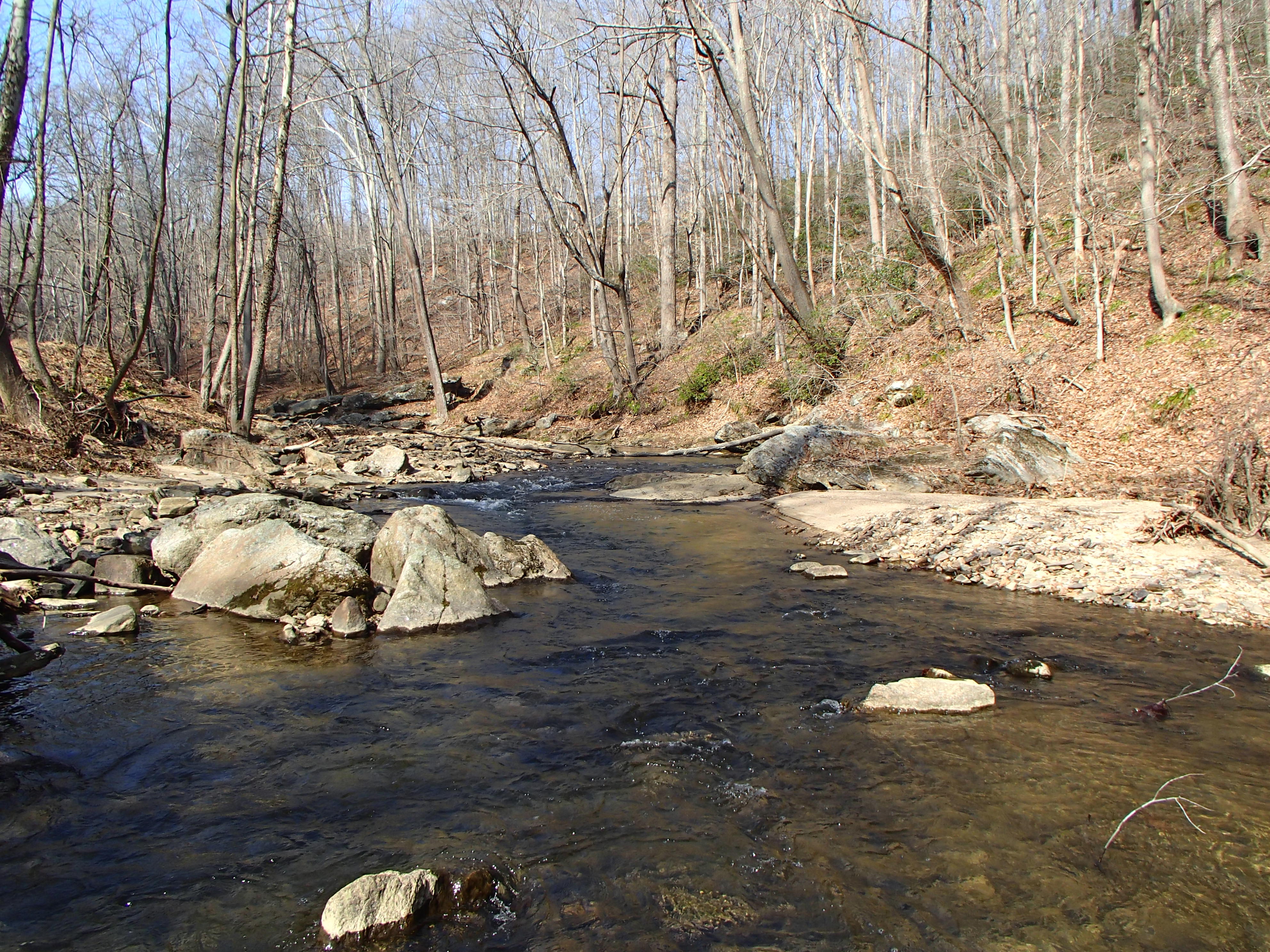 Field photo showing stream conditions at site PATL-213-X-2016_midpoint looking upstream